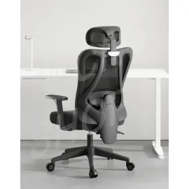 HBADA P1 Ergonomic Office chair