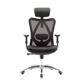 SIHOO M18 Ergonomic Chair