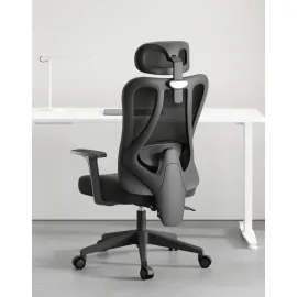 HBADA P1 Ergonomic Chair